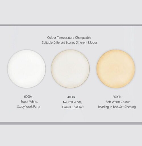 LED Ceiling Light 8006 Series - Image 2