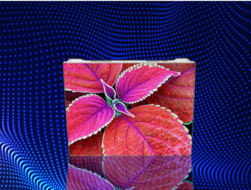 t1 (Custom) - Tradedubai.ae Wholesale B2B Market - Tradedubai.ae Wholesale B2B Market