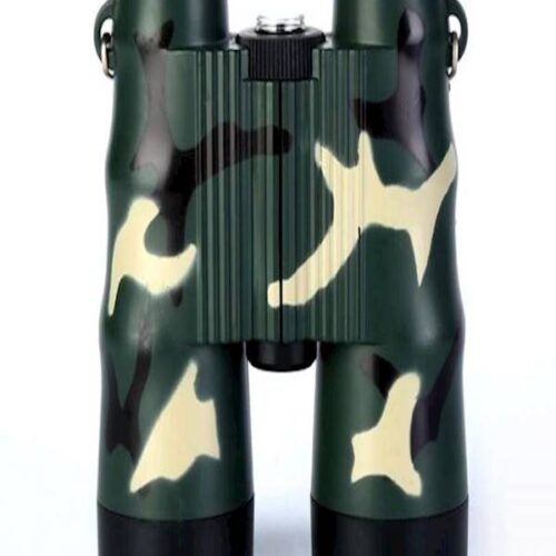 Generic Binocular Telescope