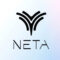 Neta Electric Car Logo Dubai UAE - Tradedubai.ae Wholesale B2B Market