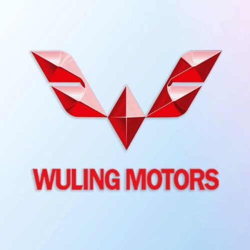 WULING EV Electric Car Logo