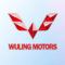 WULING EV Electric Car Logo - Tradedubai.ae Wholesale B2B Market