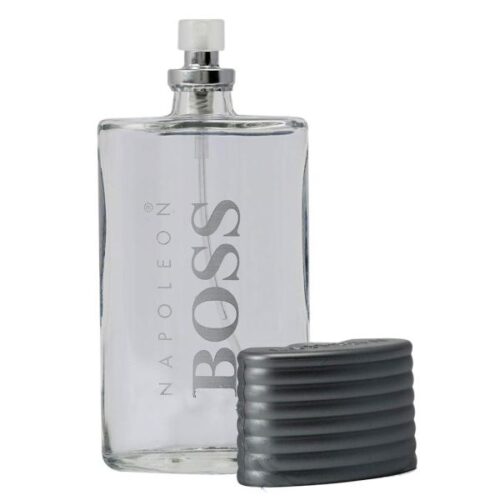 Napoleon Men EDT 100ml – Wholesale Personal Care and Beauty Products Supplier Dubai UAE - Tradedubai.ae Wholesale B2B Market