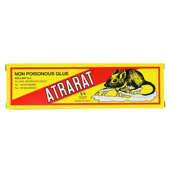Say Goodbye to Rodents with Atrarat Rat Glue Powerful and Reliable 135Gm  – Wholesale Products Supplier Dubai UAE