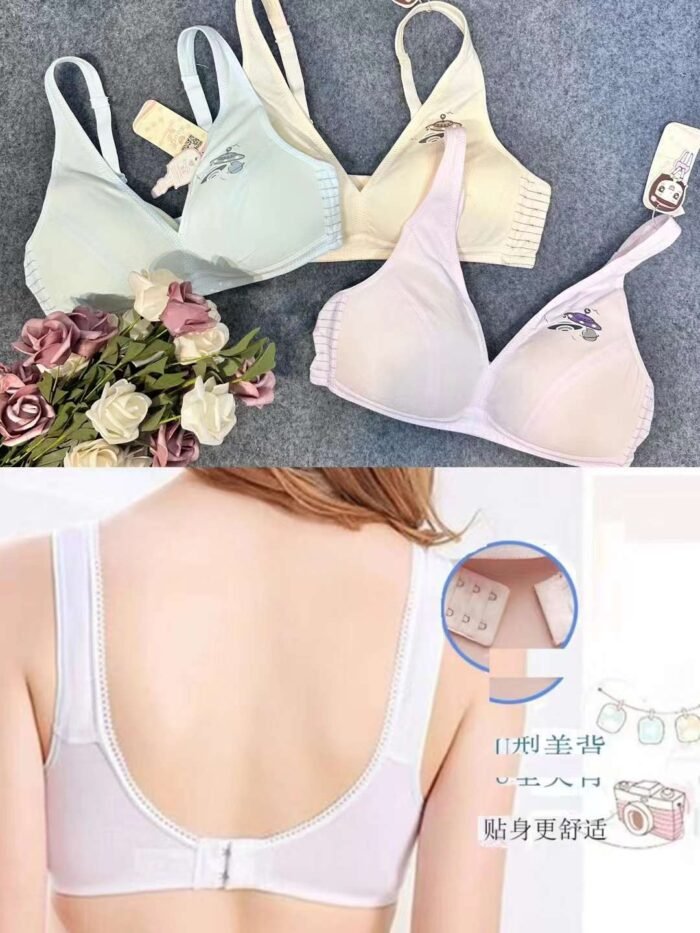 Beautiful back underwear for young girls small and miscellaneous with many flower shapes and styles5 - Tradedubai.ae Wholesale B2B Market