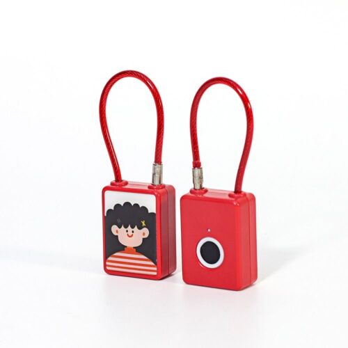 Fingerprint pad lock - mini lock - travel lock - bag lock