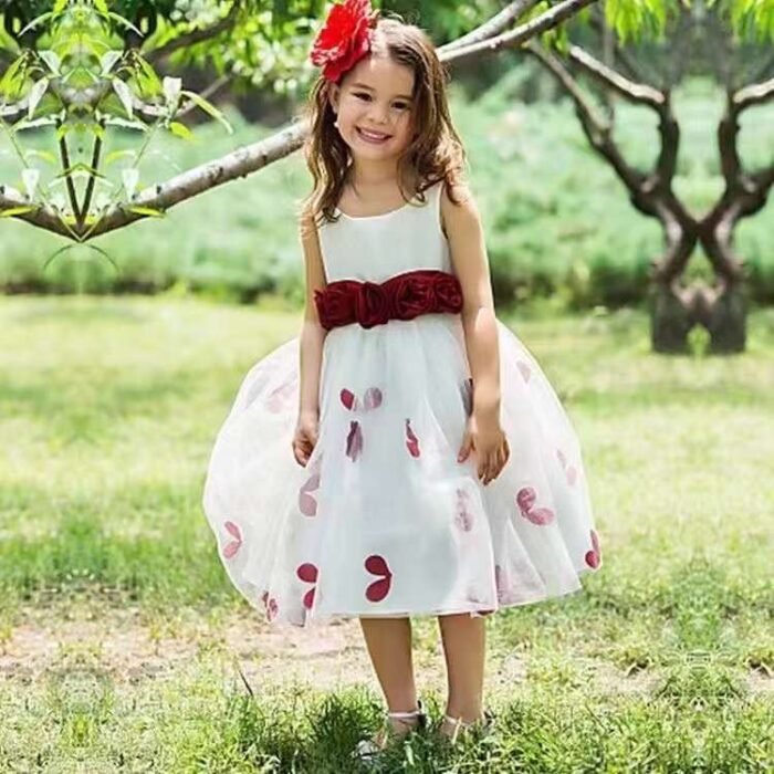 New summer childrens wear princess dress lace mesh - Tradedubai.ae Wholesale B2B Market