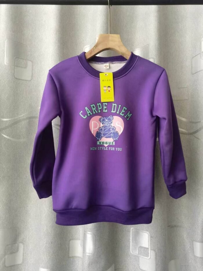 Childrens style sweatshirt spring and autumn new long-sleeved round-neck pullover plus velvet sweatshirt for boys and girls - Tradedubai.ae Wholesale B2B Market