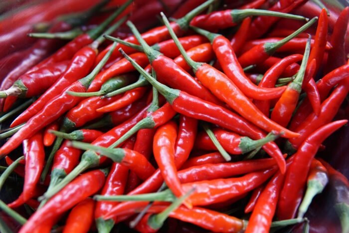 Chilli rich and spicy flavor - Tradedubai.ae Wholesale B2B Market