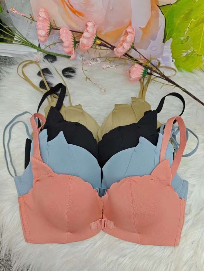 Front-button underwear for women in summer small breast push-up and beautiful back no wire bra push-up adjustable bra - Tradedubai.ae Wholesale B2B Market