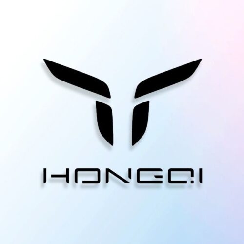 HongQi Electric Car Logo
