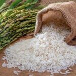 Rice - Tradedubai.ae Wholesale B2B Market Rice - Tradedubai.ae Wholesale B2B Market