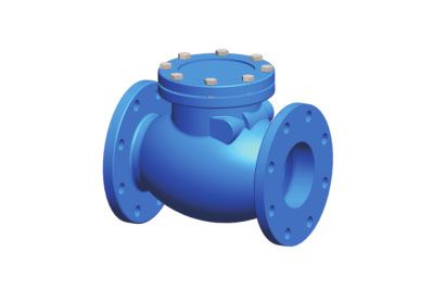 Swing Check Valve FIG.5101/5102