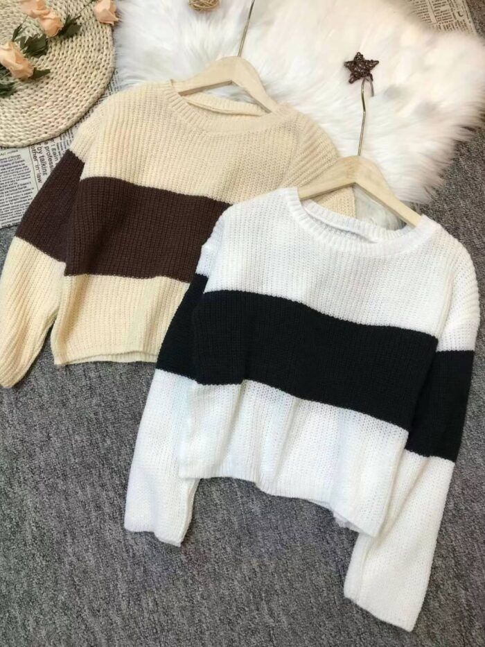 Yuanqing Arctic Velvet Internet celebrity sweater - Tradedubai.ae Wholesale B2B Market