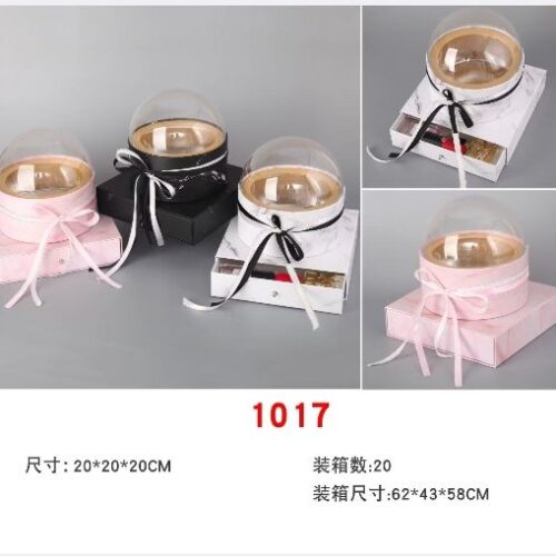 1017 Packing Box (20*20*20cm) MOQ : 1 Box