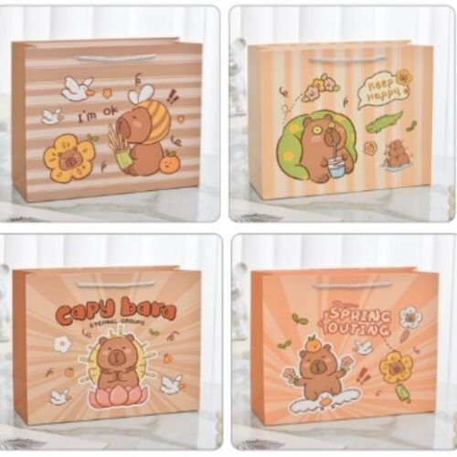 HD-8089M Flat Printing Gift Bag (24.5*19.5*9.5cm) MOQ:1 B0X