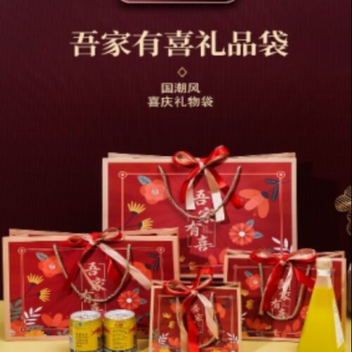 My Family Youxi Gift Bag Medium Size 25*20*12.5
