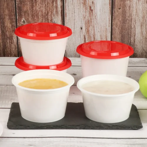 S-500 plastic food container -Food Storage Box with Cover