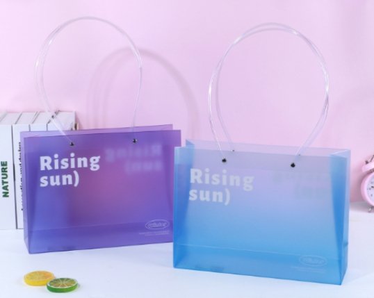 Sweet Echo Pp Horizontal Version Gift Bag 30*22 * 10cm (L) - Tradedubai.ae Wholesale B2B Market