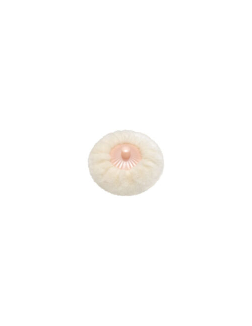 paul-joe-loose-face-powder-box 2 - Tradedubai.ae Wholesale B2B Market - Tradedubai.ae Wholesale B2B Market