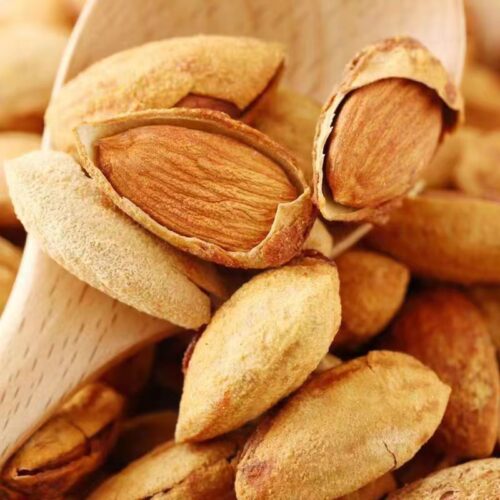 Almonds inshell Thin skin easy to peel rich in fat and protein Kashi Origin 2 - Tradedubai.ae Wholesale B2B Market - Tradedubai.ae Wholesale B2B Market