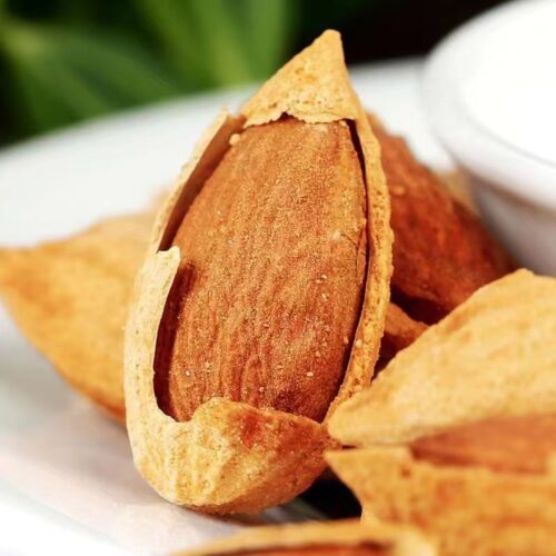 Almonds inshell Thin skin easy to peel rich in fat and protein Kashi Origin 3 - Tradedubai.ae Wholesale B2B Market - Tradedubai.ae Wholesale B2B Market