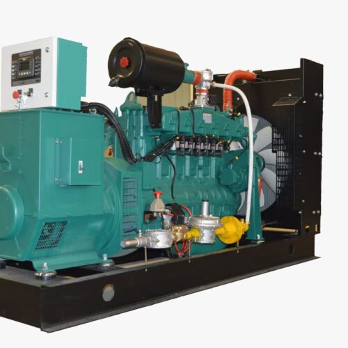 Biogas combustion power generator engine set