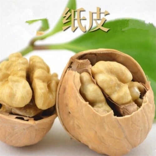Xinjiang Aksu Walnut Inshell China Factory Wholesale Dry Fruits - Image 4