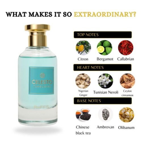 - Tradedubai.ae Wholesale B2B Market