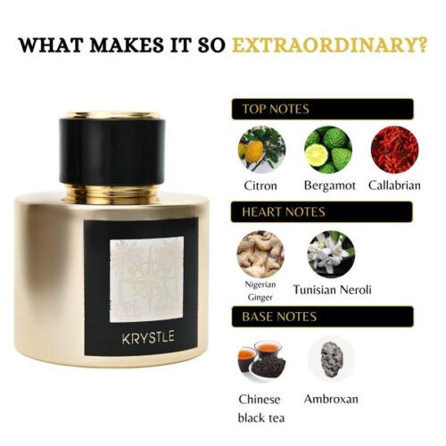 - Tradedubai.ae Wholesale B2B Market