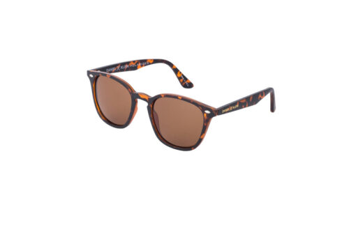 DK3166C2_900xjpg - Tradedubai.ae Wholesale B2B Market - Tradedubai.ae Wholesale B2B Market