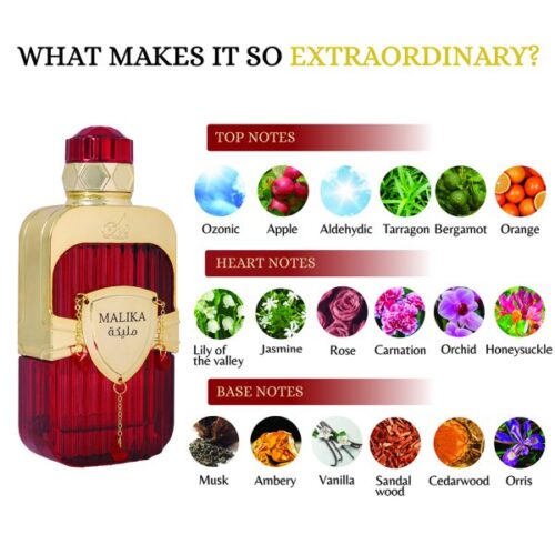 Mal4-min-600x600-1jpg - Tradedubai.ae Wholesale B2B Market - Tradedubai.ae Wholesale B2B Market