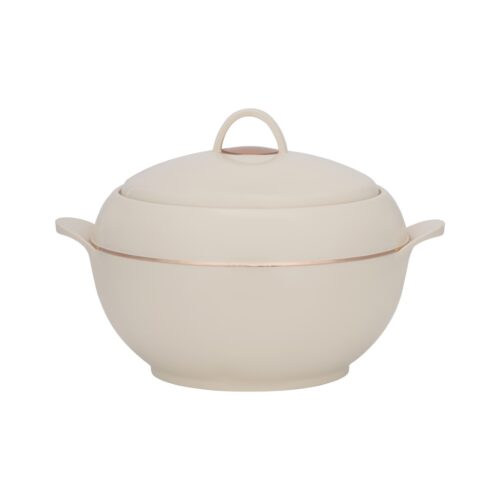 Omega Gold Insulated Casserole, Firm Twist Lock | RF11154 | Strong Handles | 5000ml Double Wall Insulated Serving Pot, Chapati Storage Box, Roti Serving Pot, Chapati Dabba