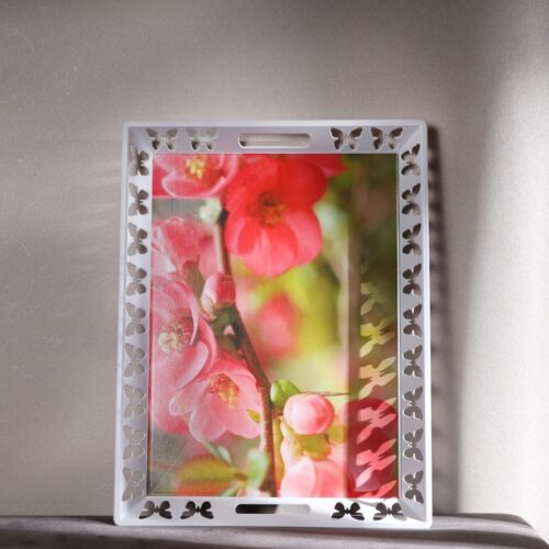 RF11269-LF-1jpg - Tradedubai.ae Wholesale B2B Market - Tradedubai.ae Wholesale B2B Market