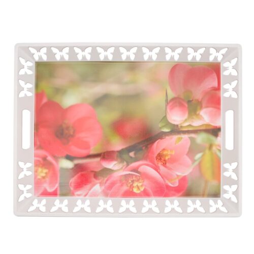 RF11269-WB-1jpg - Tradedubai.ae Wholesale B2B Market - Tradedubai.ae Wholesale B2B Market