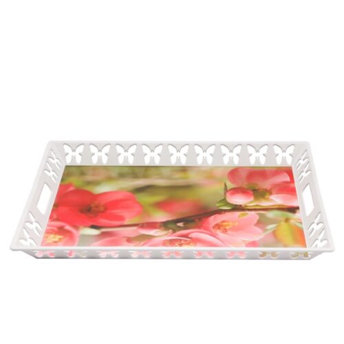RF11269-WB-2jpg - Tradedubai.ae Wholesale B2B Market - Tradedubai.ae Wholesale B2B Market
