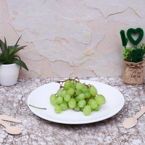 Porcelain Magnesia Dinner Plate, 9 Inch - Image 4