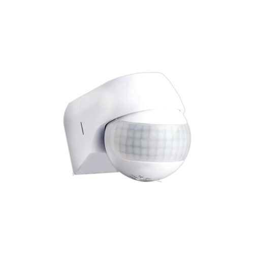 Z01426jpg - Tradedubai.ae Wholesale B2B Market - Tradedubai.ae Wholesale B2B Market