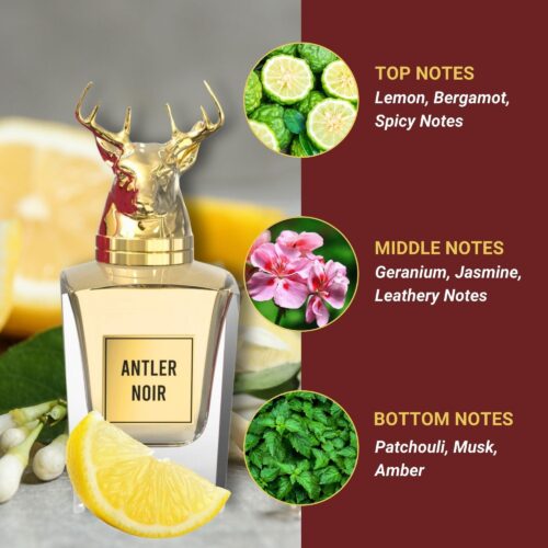 - Tradedubai.ae Wholesale B2B Market