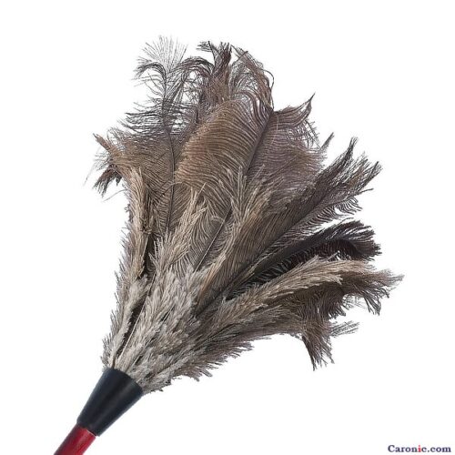 Ostrich Feather Car Duster Cleaner - Image 2