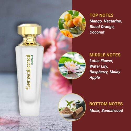sensational-emerald-45ml-perfume-sensational-emerald-45ml-48196195320107jpg - Tradedubai.ae Wholesale B2B Market - Tradedubai.ae Wholesale B2B Market