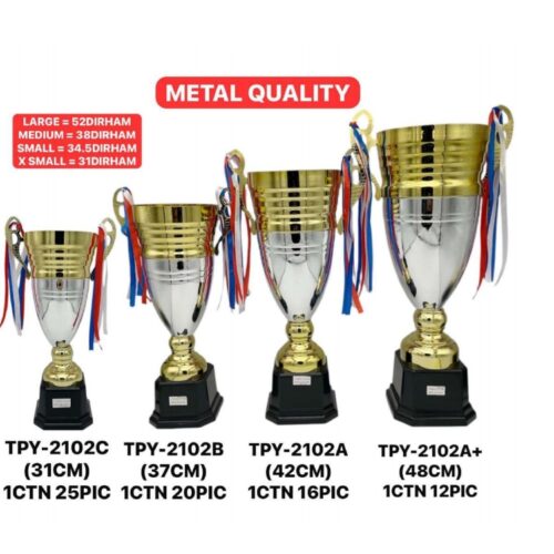 Metal Trophies TPY-2102C (31CM)