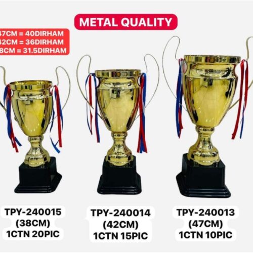 Metal Trophies TPY-240015 38CM