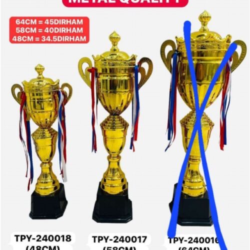 Metal Trophies TPY-240018 (48CM)