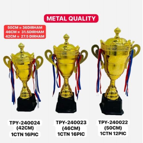 Metal Trophhies TPY-240024