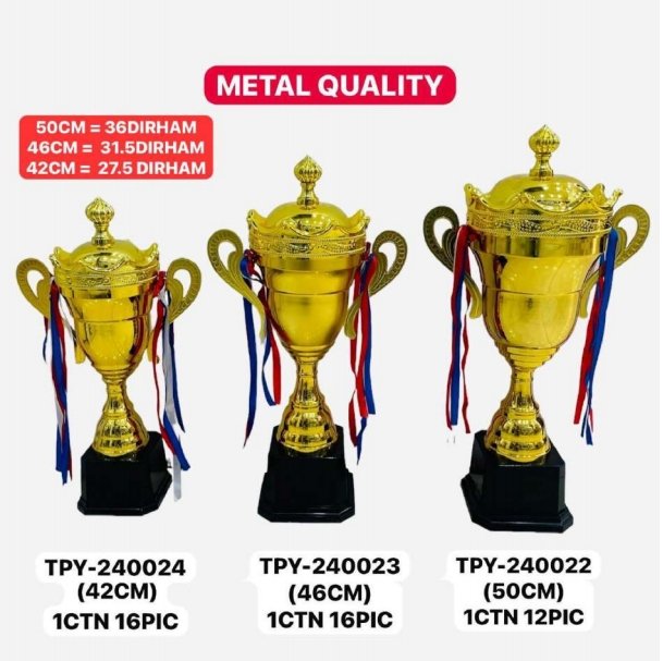 Metal Trophhies TPY-240024