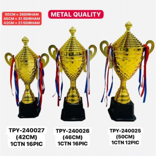 Metal Trophies TPY-240027