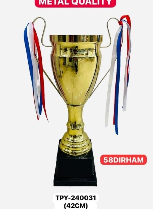 Metal Trophhies TPY-240031