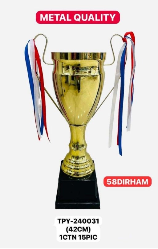 Metal Trophhies TPY-240031