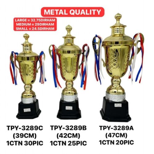Metal Trophies TPY-JZ195808C (28CM)